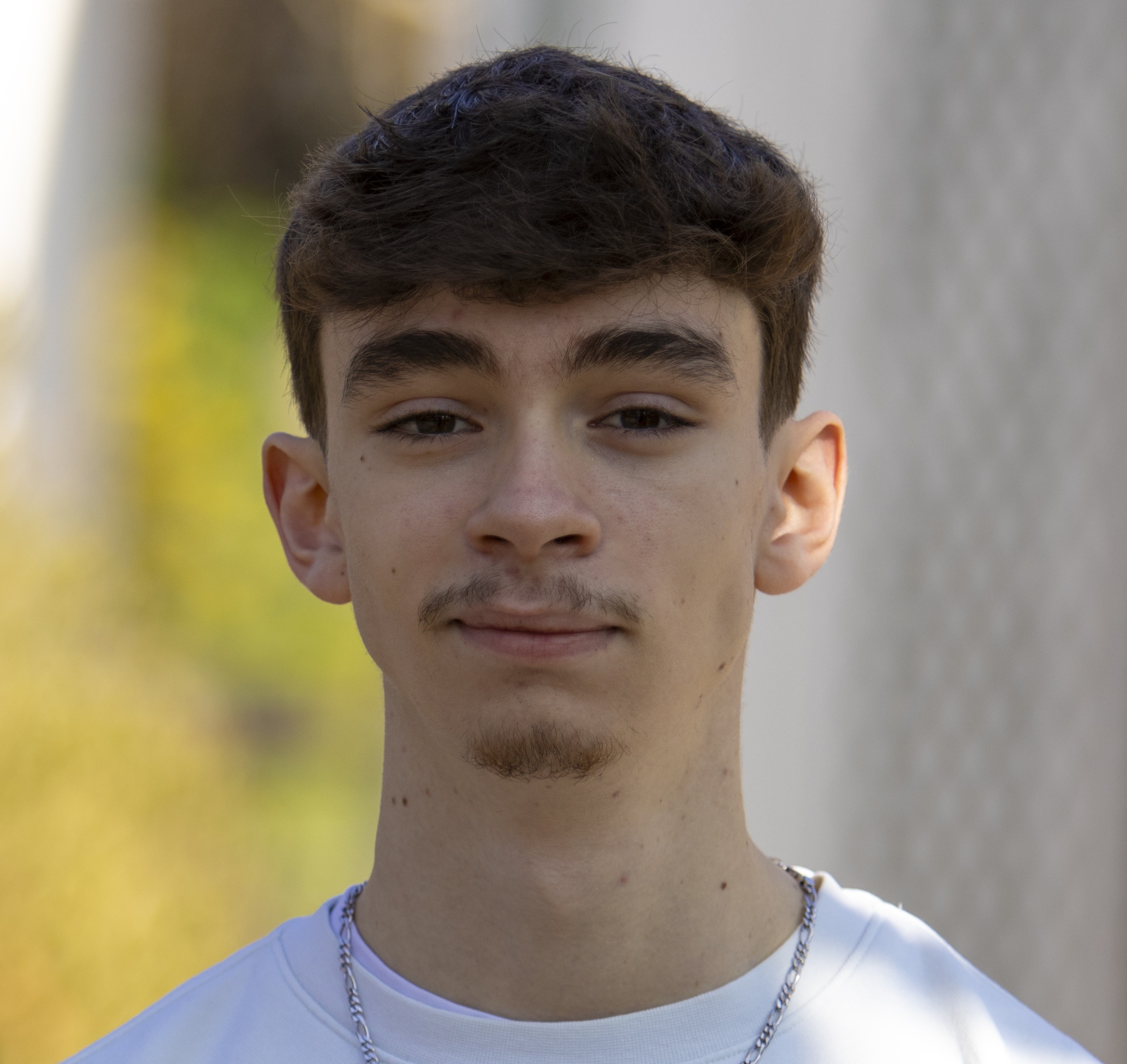 Loïc Soulié